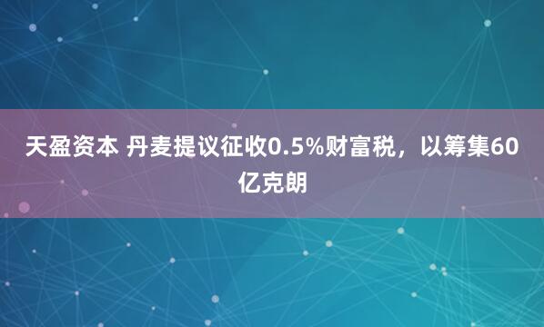 天盈资本 丹麦提议征收0.5%财富税，以筹集60亿克朗
