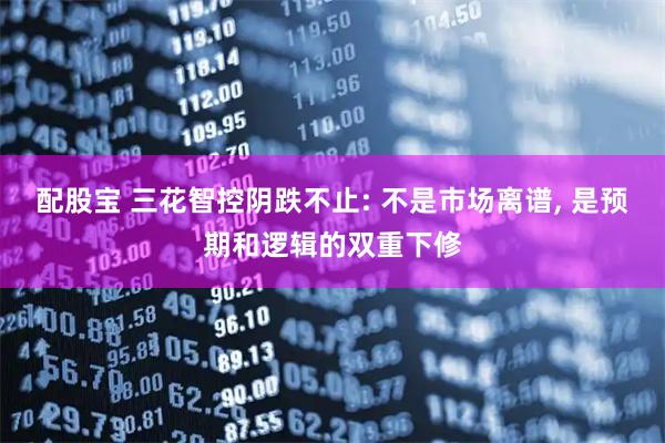 配股宝 三花智控阴跌不止: 不是市场离谱, 是预期和逻辑的双重下修