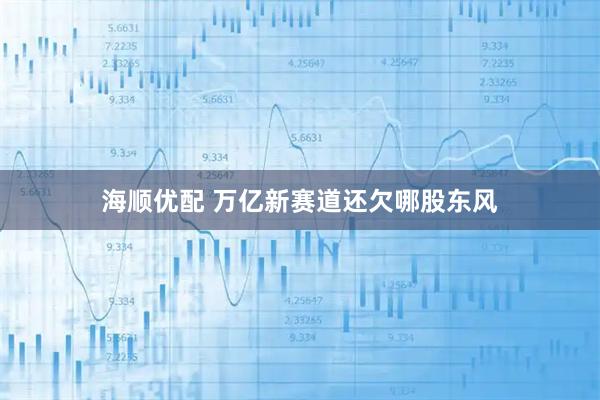 海顺优配 万亿新赛道还欠哪股东风