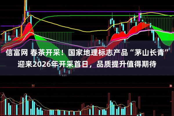 信富网 春茶开采！国家地理标志产品“茅山长青”迎来2026年开采首日，品质提升值得期待