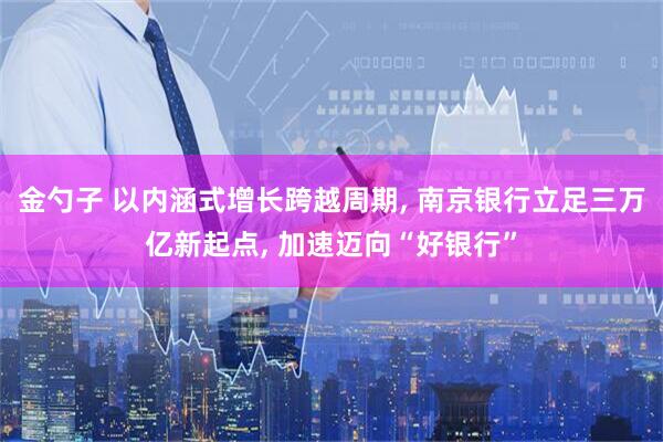 金勺子 以内涵式增长跨越周期, 南京银行立足三万亿新起点, 加速迈向“好银行”